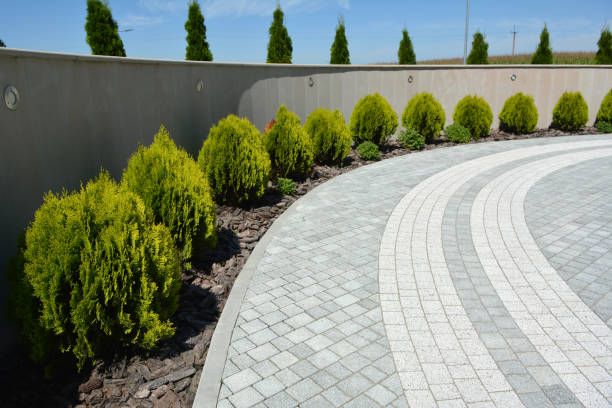 Professional Driveway Pavers in Mccoll, SC
